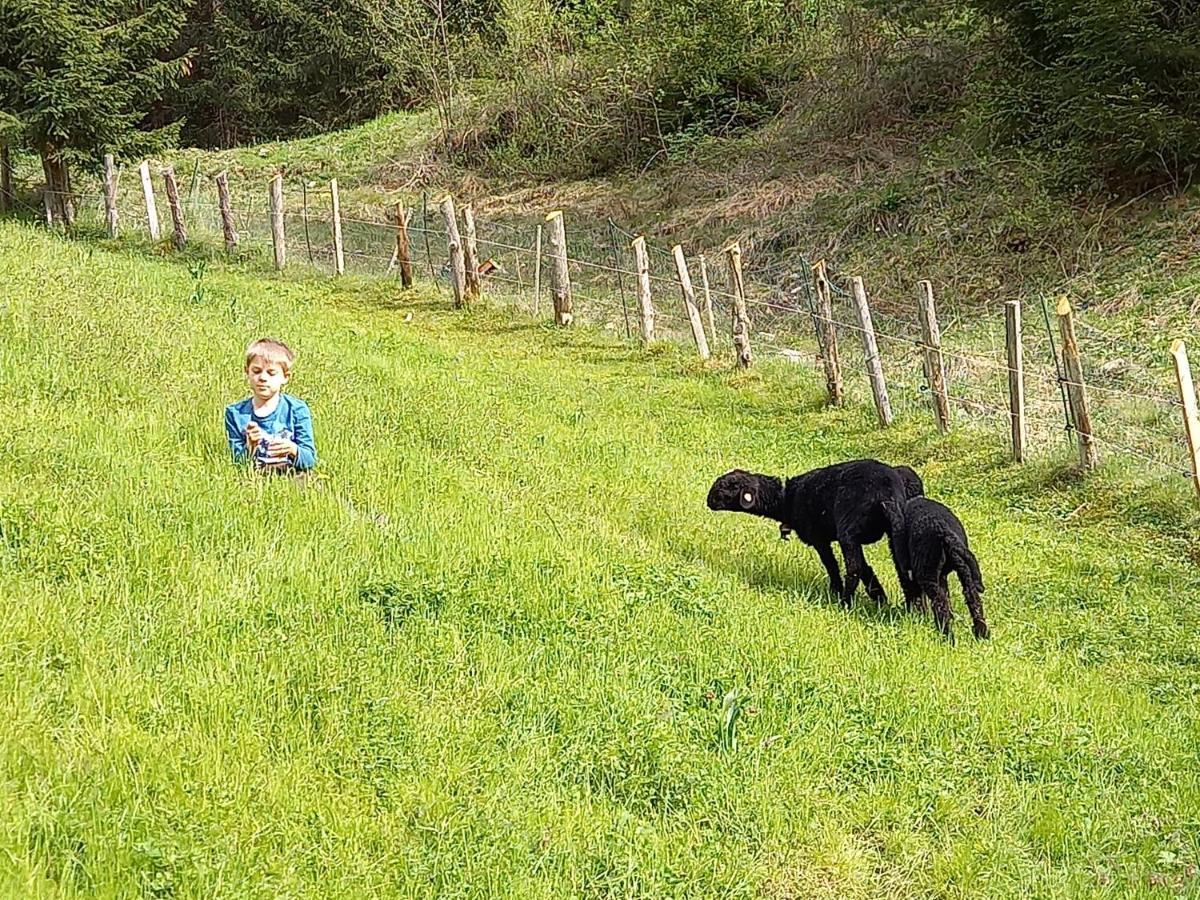 Ferienwohnungen Weberbauer Sankt Martin bei Lofer Kültér fotó
